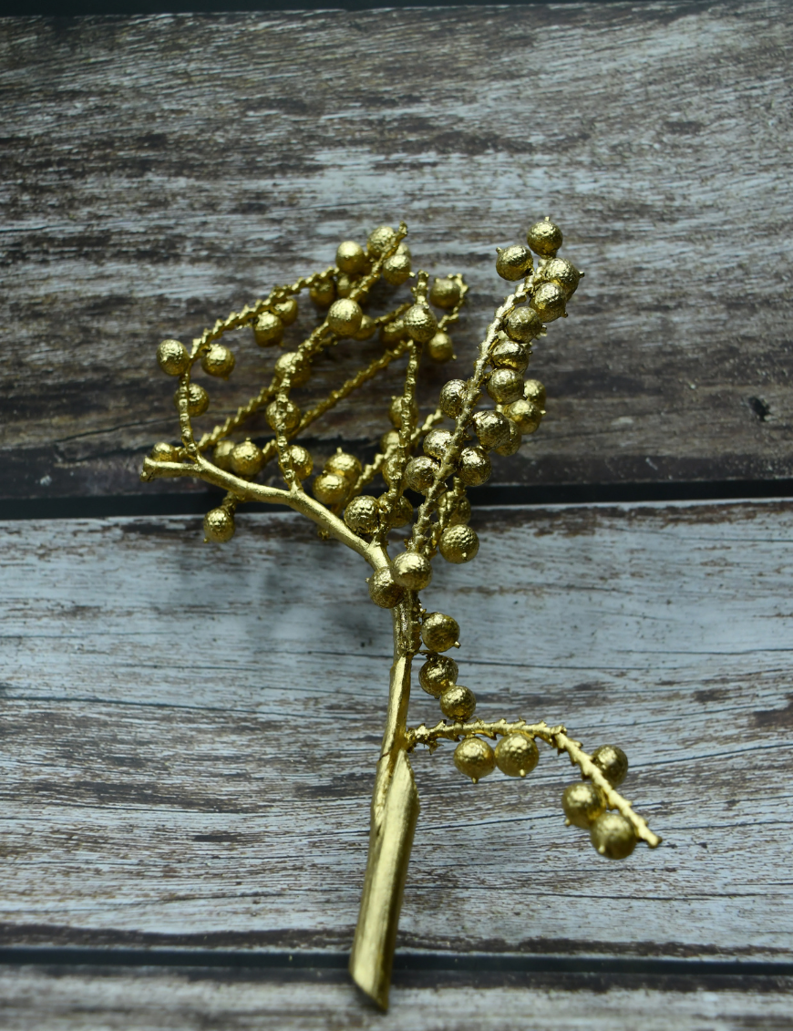 1 canella gold