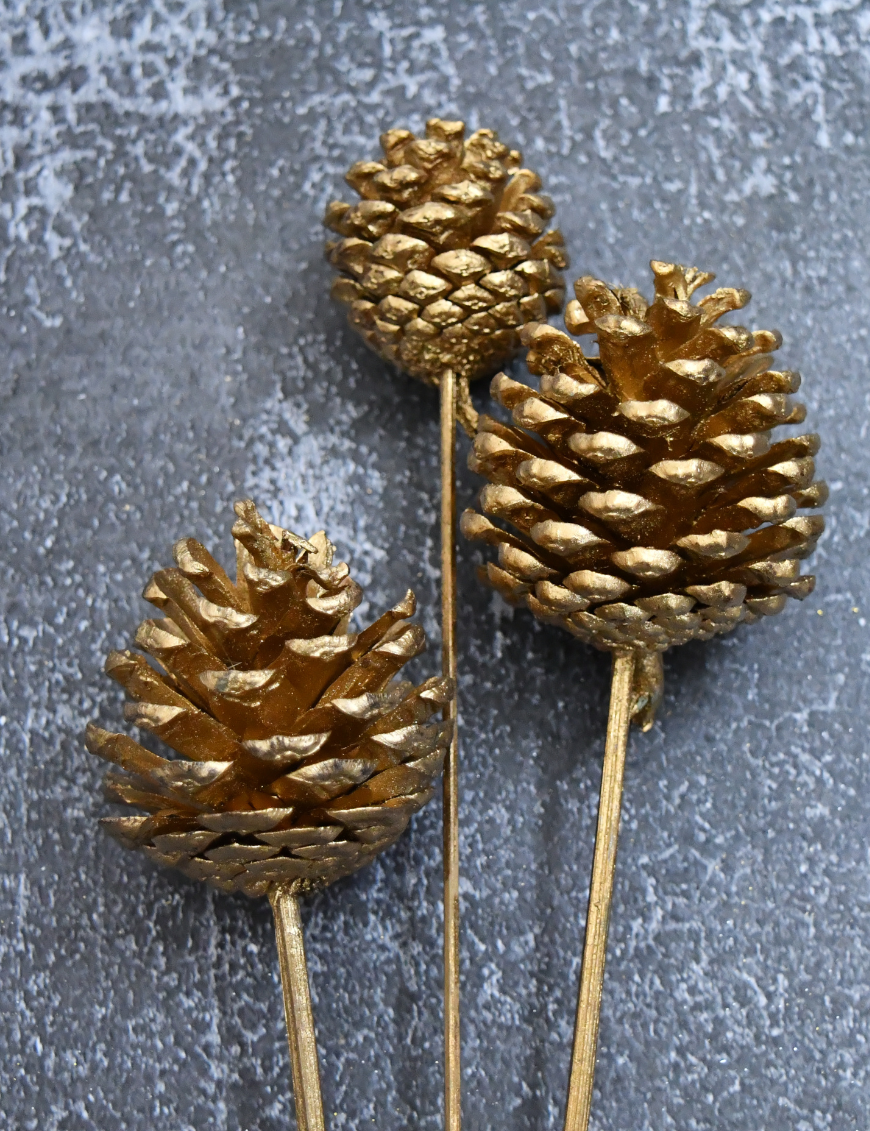 Pine Cone Gold