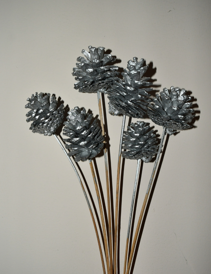 4 Pine Cone Silver