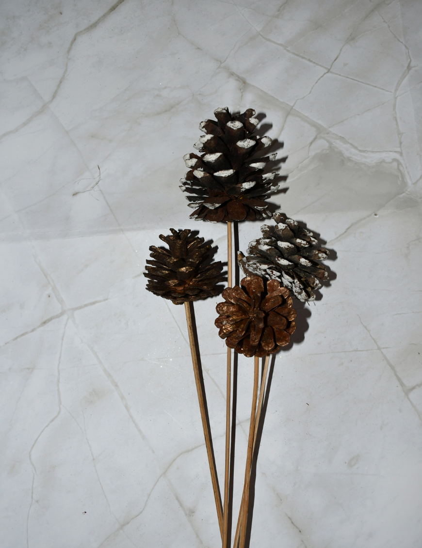 5 Pinecone White Tipped