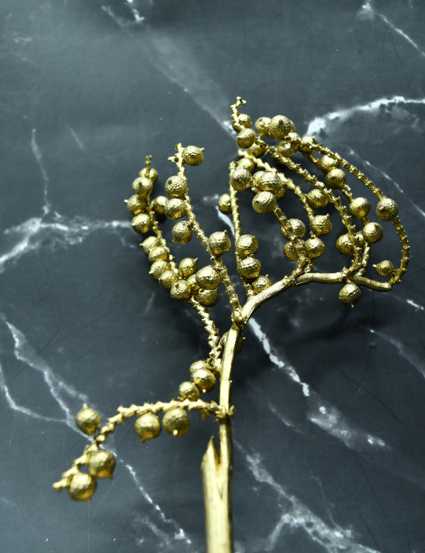 Canella Gold