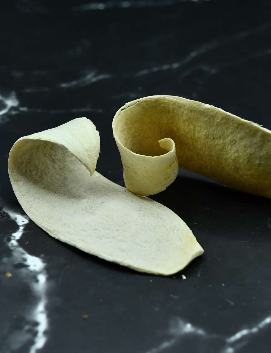 Mahogini Spoon Bleached Mahogini Spoon Bleached