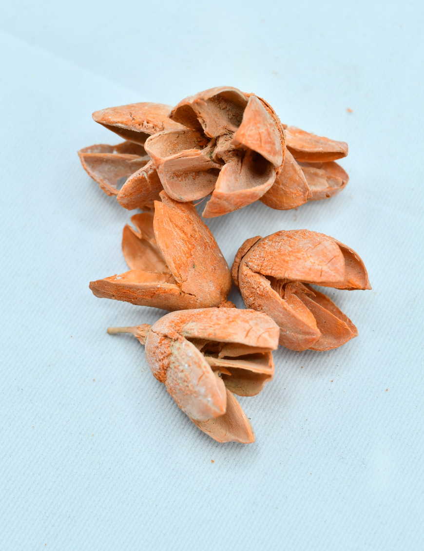 Bakuli pod